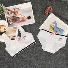 픽스퓨어원가습기