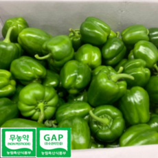 초록별파프리카 못난이 파프리카 1kg 2kg 5kg 혼합 빨강 노랑, 1박스, 못난이초록(크기혼합)5kg