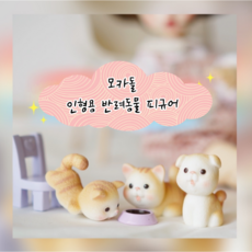 파올라레이나말리