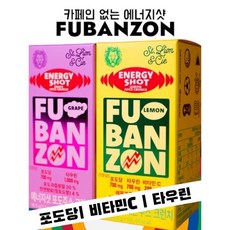 빠른 에너지 보충 비타민C 카페인없는 에너지드링크 (2p), 레몬맛2p+포도맛2p(4p) - 골프라운딩간식