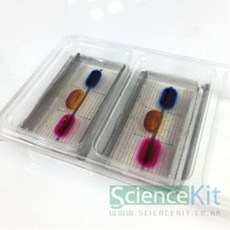 UWJ554461(SC) 미니 전기영동 장치-이온의 이동 (4인용)