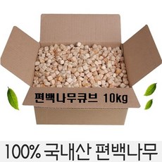 큐브편백