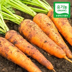 유기농 제주 흙당근 3kg 5kg 10kg, 1.유기농 당근 3kg, 상세페이지 참조