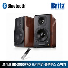 브리츠br3000