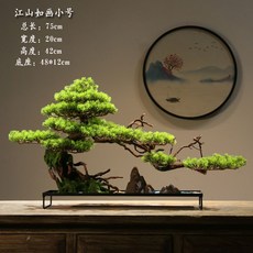 소나무분재