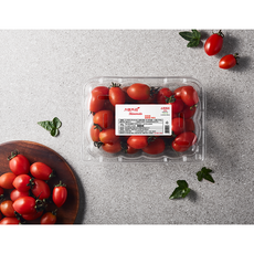 스위프리샤인마토