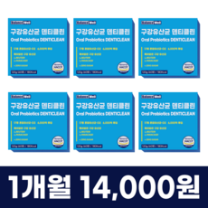 밸런스웰 덴티클린 특허 구강유산균 HACCP 식약처 인증