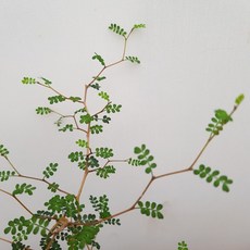 fbd3ed3d7406c7c2e5c0f377e473045aae4d9368d907c8c483b06ada280c.jpg