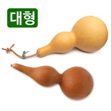 통조롱박