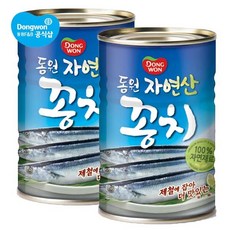 꽁치통조림조림