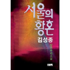 서울의 황혼, 바로찬책, 김성종 저