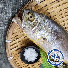 부세조기 반건조생선 자반용 제수용 반찬용 생일상차림 부드러운 조기 3마리구성 제수용 1마리구성, 1개, 32-35cm