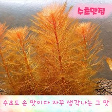 28f359ad017db31daaae7347f2b8cc175785471f6130d6f65c3e49489abe.jpg