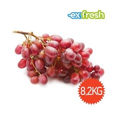 4fe5e2e3dde4dd1f09b99fe768bbc72e96f0c22264dbe5f93ccfbf4cc79a.jpg
