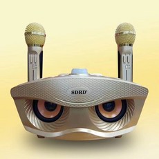 코인노래방부스뮬리스