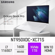 삼성전자 갤럭시북 프로 NT950XDC-XC71S, NVMe 1TB, 포함, 16GB