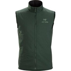 아크테릭스아톰