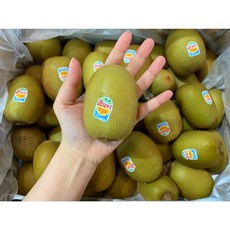 과일다움 로얄과 프리미엄 제스프리 골드키위 2.8kg 가정용 한박스 대과 특대과 점보과 과일도매 제철과일 신선배송, 골드키위 대과 2.8kg (25~27과)