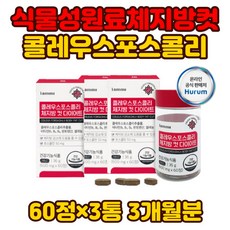 30대남성 다이어트영양제 콜레우스포스콜리 뱃살 체중감소 허벅지살빼는법 체지방컷팅제 체중감소 복부 윗배 아랫배 간편섭취 간편한 체중조절 몸매관리 가르시니아 다이어트 장건강
