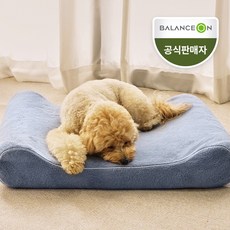 필수 품목 강아지쿠션 추천, 상품정보 및 리뷰 Top 5, 밸런스온 베타젤 프리미엄 펫시트 (블루/핑크 택1), 블루