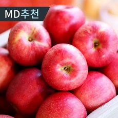 [당도선별] 햇 부사 꿀사과 고당도 가정용 사과, 1박스, 사과 3kg 한입과(18-21과)