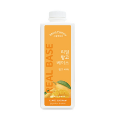 라벨리망고빙수