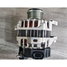 레이알터네이터