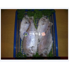 반건조 참돔 말린 참돔(대)1마리 도미 생선매운탕 생선구이, 1개