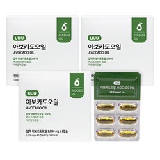 콜레스테롤아보카도