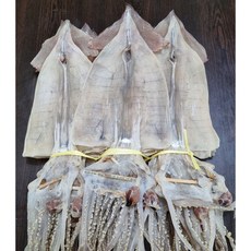 마른오징어2.5kg