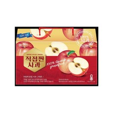 지오스퀴즈팜 직접짠 사과 (100ml x20팩) 사과즙, 20팩, 100ml