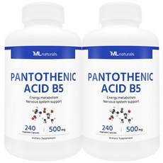 [미국번개배송] 신제품 착한명품 마이라이프 내추럴스 판토텐산 B5 500mg, 2개, 240정