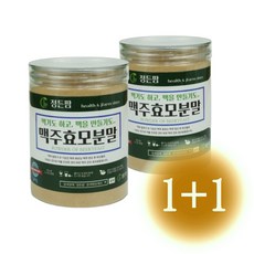 맥주 효모 분말 1+1 밀폐용기 300g x 2개 (사은품증정)