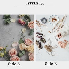 증명사진배경지