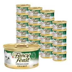 팬시피스트청키