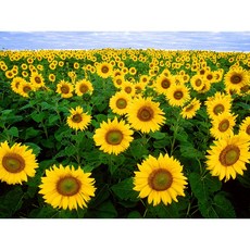 b93c2da4c30c0c7e9e2cc02071d3f5c845dfefbcba5b0e75f8f1020f98c4.jpg
