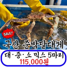 [초특가] 국산 준박달대게 수율 80%이상!!무료배송!!, 국산대게5마리(대중소믹스)