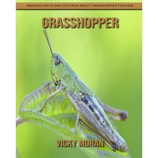 Grasshopper: Amazing Facts and Pictures about Grasshopper for Kids Paperback, Independently Published