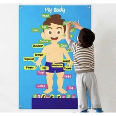 영어펠트교구재