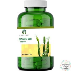 이나영시서스알약