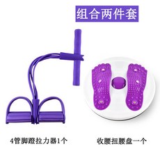 트위스트 원판 코어 복근 사슬 운동 피트니스 운동 기구, 301 트위스트 허리 플레이트 큰 매력 보라색 + 8055 네 튜브 풀 로프 퍼플