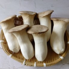 농장직송 손질 느타리버섯 새송이버섯 경남 의령 당일수확발송, 1개, 새송이버섯 상품 2kg