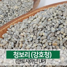 비건이팩트청보리