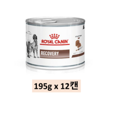 로얄캐닌 리커버리 캔 195g+6개 처방식.치료회복기.고양이.강아지 습식 RECOVERY, 12개, 195g - 로얄캐닌리커버리