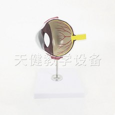 동물실험관련책