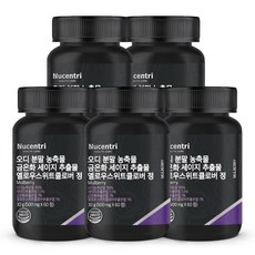 오디-추천-상품