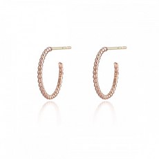 골든듀트윙클귀고리