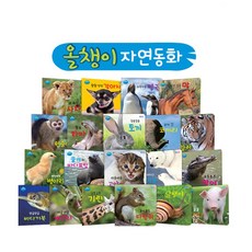 세이펜 올챙이 자연동화 자연관찰책 동물책, 선택, 선택