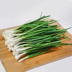 [자연맛남] 농협선별 신선한 쪽파 1kg, 1개