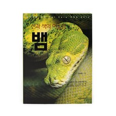 낯선원시의아름다움도마뱀